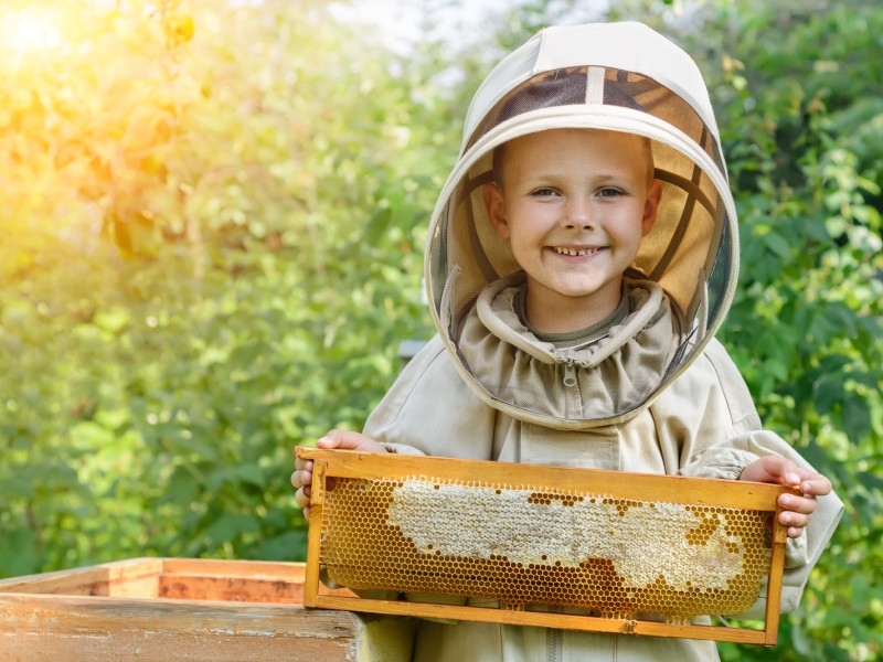 " Dbamy o pszczoły - chronimy środowisko" podsumowanie  programu