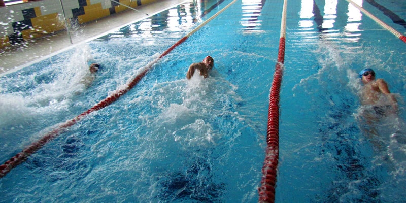 Zawody w pływaniu Szczyrk - 2012