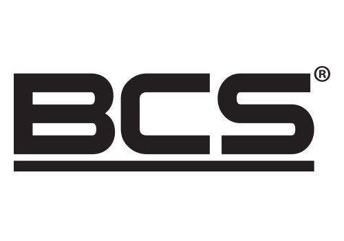 BCS