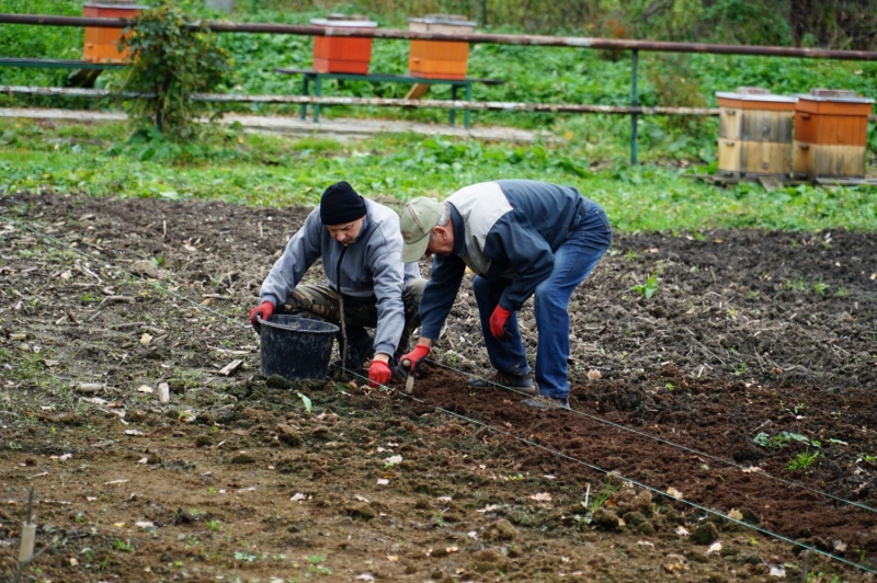 Kończymy sezon prac na działce - październik