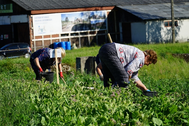 foto:Czerwiec - czas intensywnego wzrostu roślin