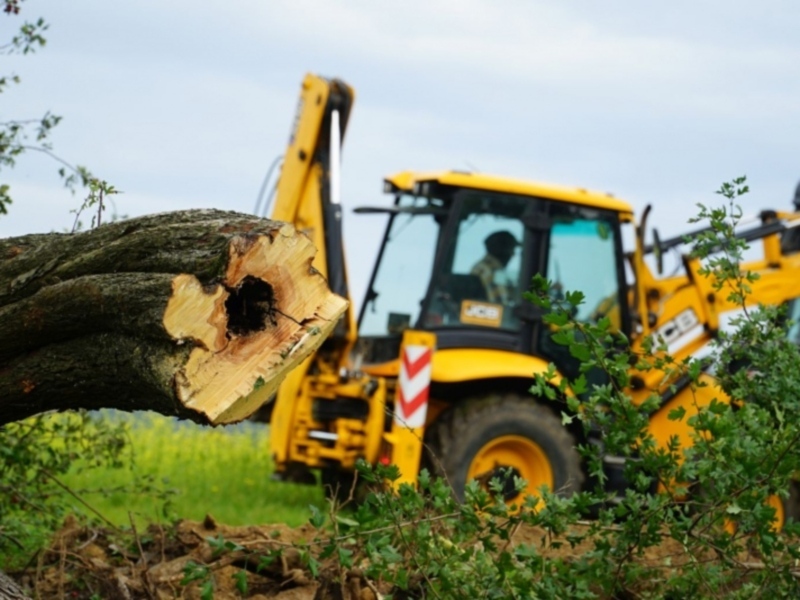 foto:Porządki pełną parą w październiku