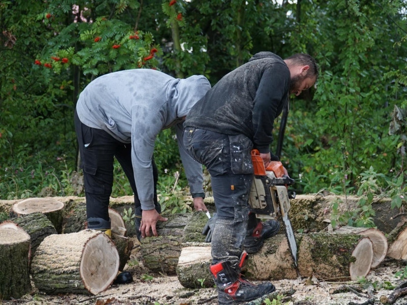 Jesienią pracujemy!