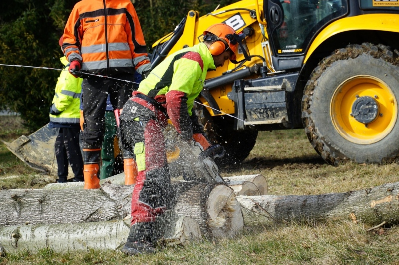 foto:Wracamy do prac na działce!