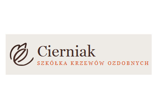 Logo Cierniak